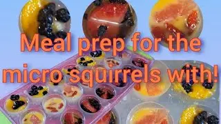 Making the Micro squirrels/African pygmy dormice the fruit for the next 2 weeks #grwm #mealprep #yum