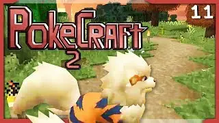 Neue Pokemon suchen mit Balui! | Pokecraft 2 #11 | miri33 Balui | Minecraft Pixelmon