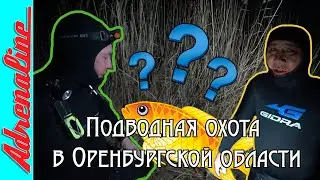 Подводная охота на реке Урал| Ириклинское водохранилище