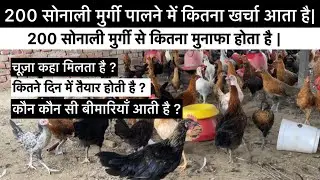 200 सोनाली मुर्गी पालने में कितना खर्चा आता है | 200 Desi bird costing and profit #sonalimurgipalan