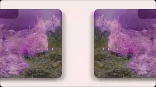Videokooste
