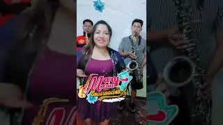 Que quieres aqui    ( D.R.)  ensayo
