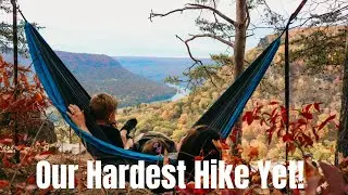 Signal Mountain | Signal Point and Julia Falls Overlook | Our Hardest Hike Yet!