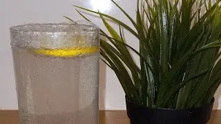 Lemon Soda || Summer refreshment || Lemon sparkling water #shorts