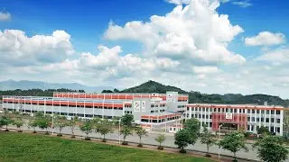 China Top ONE  Surgical Gloves Factory Surgicalgloves.com