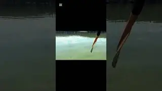Just a trip at loon lake bc!
