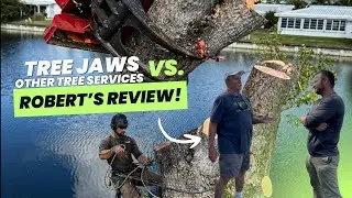 Tree Jaws VS. Other Tree Services _ Robert's Review