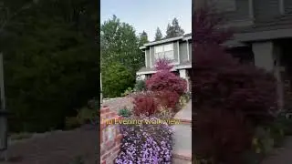 Beautiful house view in California #myview #housetour #beautifulday