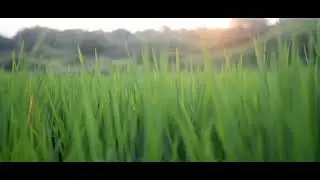 touch grass + experimental type beat - mirage