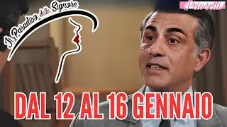 Il Paradiso delle Signore 12-16 Gennaio. Fulvio scopre tutto su Roberto e Mario.