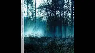Matt Shoemaker || Soundtrack For Dislocation (2010) Full Album