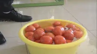 Cube Agro processing training