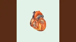Heart of the Party