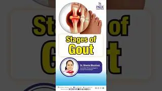 Stages of Gout | Pathological Phases of Gout #gout