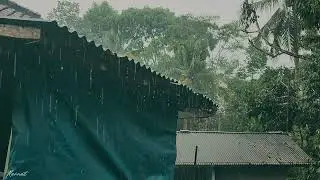 Deep Sleep Rainfall Therapy &ndash; Heavy Rain Sounds to Calm Your Mind 😪