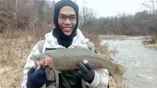 Bronte Creek Steelhead Fishing December 23 2018