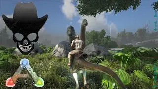 CATCH THE RAINBOW