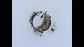 Лес 360&deg;
