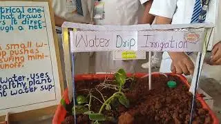 Water drip irrigation project #trending #viral #scienceproject #kidsproject #school