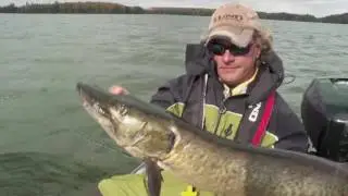 Chasing Fall Musky in Vilas County - PROS Winning Strategy | Lund Boats