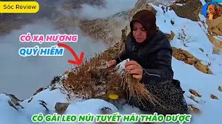 Leo núi đá hái thảo dược tìm thấy cỏ xạ hương quý hiếm | cuộc sống du mục #sinhton #dumuc #socreview