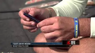 Big Bite Baits Tour Swim Worm