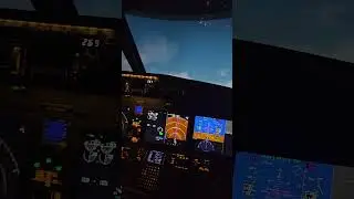 B737 MAX 8 COCKPIT TAKEOFF