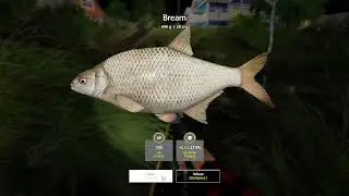 Three good spots for fish on Mosquito Lake | Steam | PC | RF4