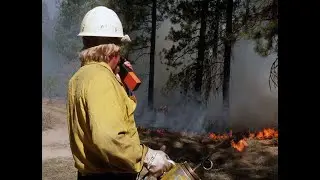 Strategies for increasing Rx fire application on federal lands from case studies in the US West
