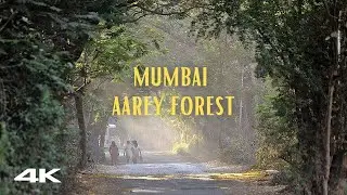 Aarey Forest Walk Tour4k 60 FPS Chota Kashmir, Gaondevi Mandir Mumbai Walk 4k Ultra HD @traveltrekk6 