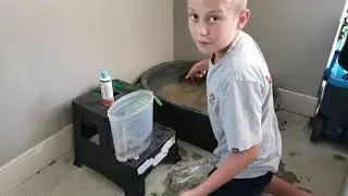 How to build your own mini-pond Part 2