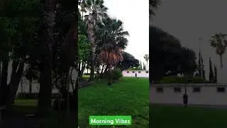 #relaxing #music #relaxingmusic #2024 #meditationmusic #nature #lisbon