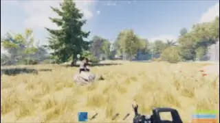 Rust console pvp