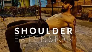 The BEST Shoulder Stretch you are not doing (Shoulder Extension)