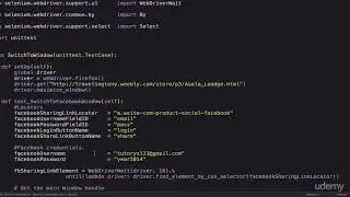 Selenium WebDriver with Python - Basics to Intermediate : Switching Focus to a Window