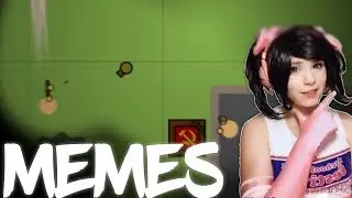 surviv.io but every time I get a kill there's a meme #2