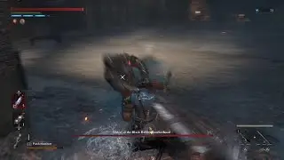 [Lies of P] vs Black Rabbit Brotherhood