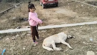 Aaj to dog ne Tanvi ko bahut dara Diya 🥰🤣