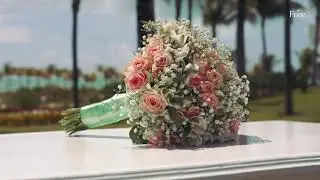 The Free Wedding Collection by RIU