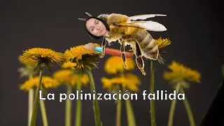 La polinización fallida - Datmary Villar