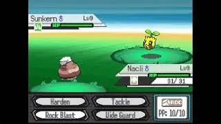 Pokemon Pokémon Gadir Deluxe walkthrough part 3