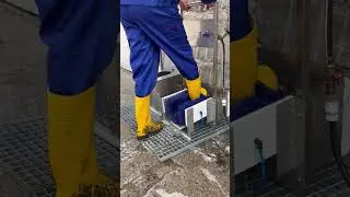 Unidoz Boot Cleaner and Boot Disinfector in Action on a Pig Farm - 100% Effective!
