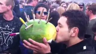 Watermelon blunt