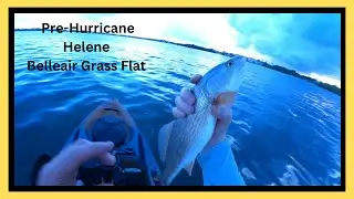 Quick Pre-Helene Fishing St. Pete / Clearwater