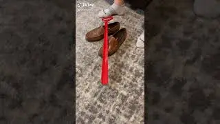 Long handled shoe horn