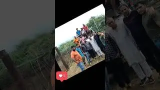 Ramfal Brothers Team Monu manesar #viralvideo #gaumata