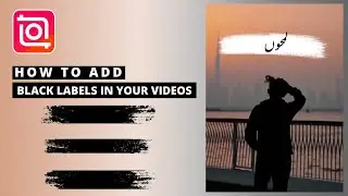 How To Add Black Labels In Your Videos | TikTok Trending Brush Png | InShot Tutorial