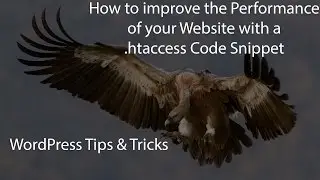 Используйте кэш браузера с помощью фрагмента кода .htaccess &mdash; оптимизация WordPress