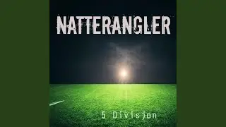 5 Divisjon