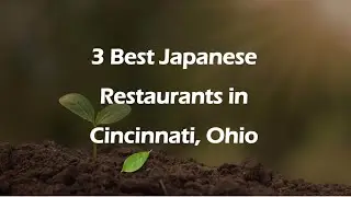 3 Best Japanese Restaurants in Cincinnati, Ohio | Japanese Cuisine